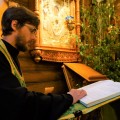 Photo 38